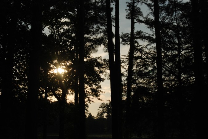 That Little Light of Encouragement... 