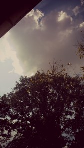 PicsArt_1398275614573