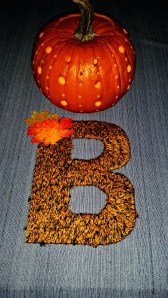 PicsArt_1413056629084